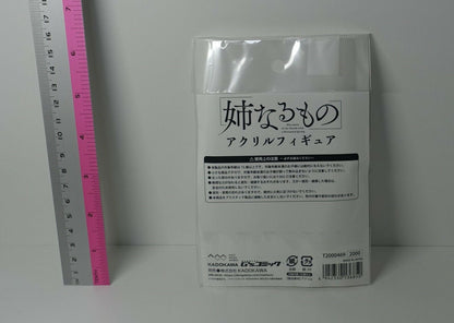 Ane Naru Mono The Elder Sister Like One Chiyo Acrylic Stand Figure Pochi Iida 