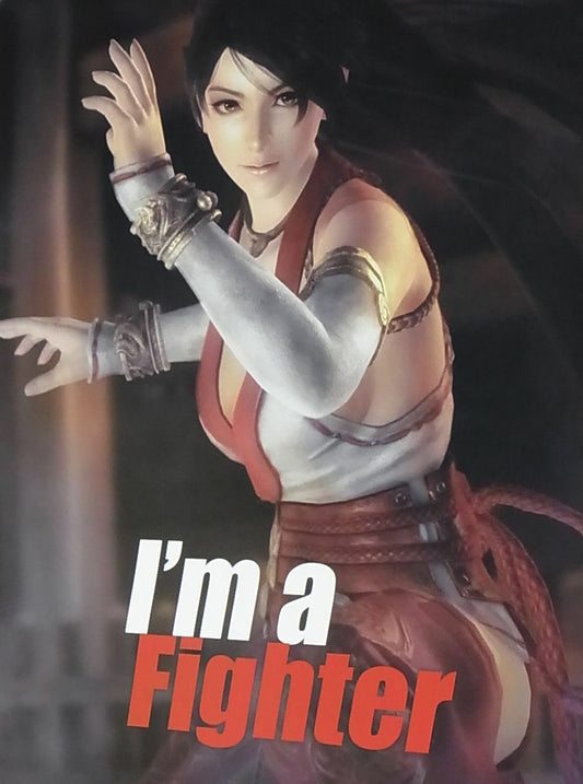 Dead Or Alive 5 Privilege Item I'm a Fighter Poster B2 Big Size Momiji 