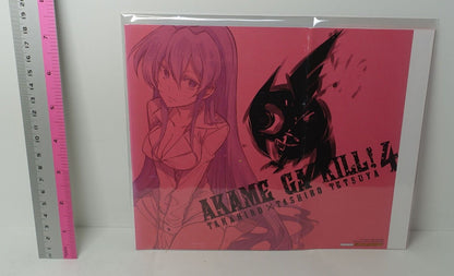Tetsuya Tashiro Akame ga Kill! Comic Vol.4 Special Book Cover Esdeath 