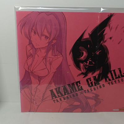 Tetsuya Tashiro Akame ga Kill! Comic Vol.4 Special Book Cover Esdeath 