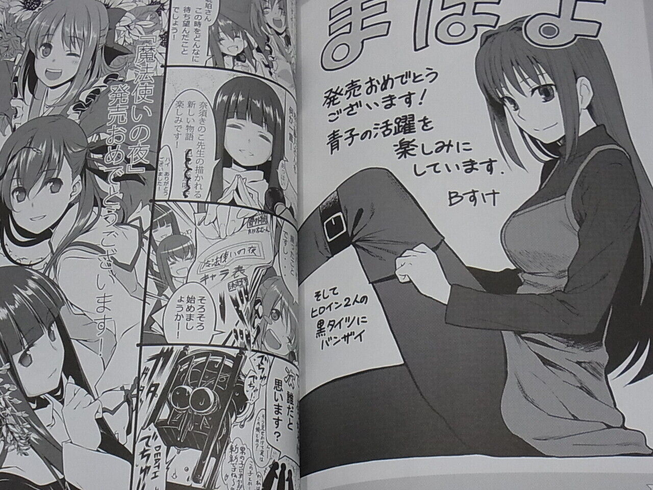 TYPE-MOON WICH ON THE HOLY NIGHT Official Fan Art Book Premiere Mah?tsukai no 