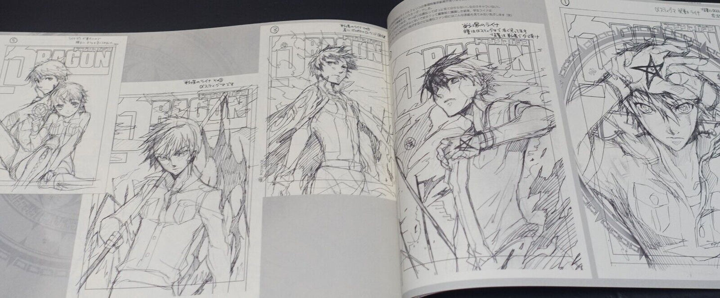 Saori Toyota The Legend of the Legendary Heroes Character Designer's Pen Drawing 