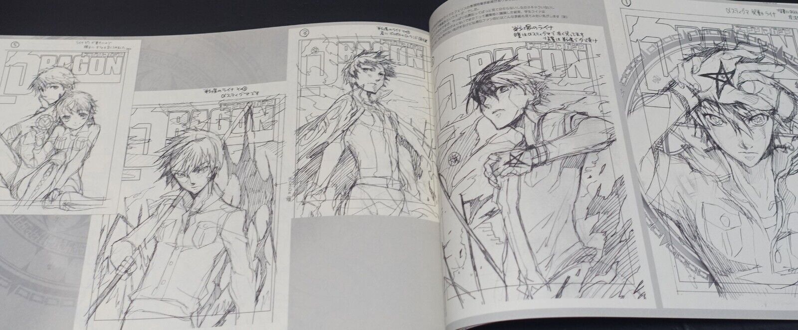 Saori Toyota The Legend of the Legendary Heroes Character Designer's Pen Drawing 