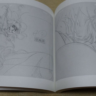 RYOJI NAKAMORI WORKS 2005-2012 HELLSING 1-11 Key Frame art 