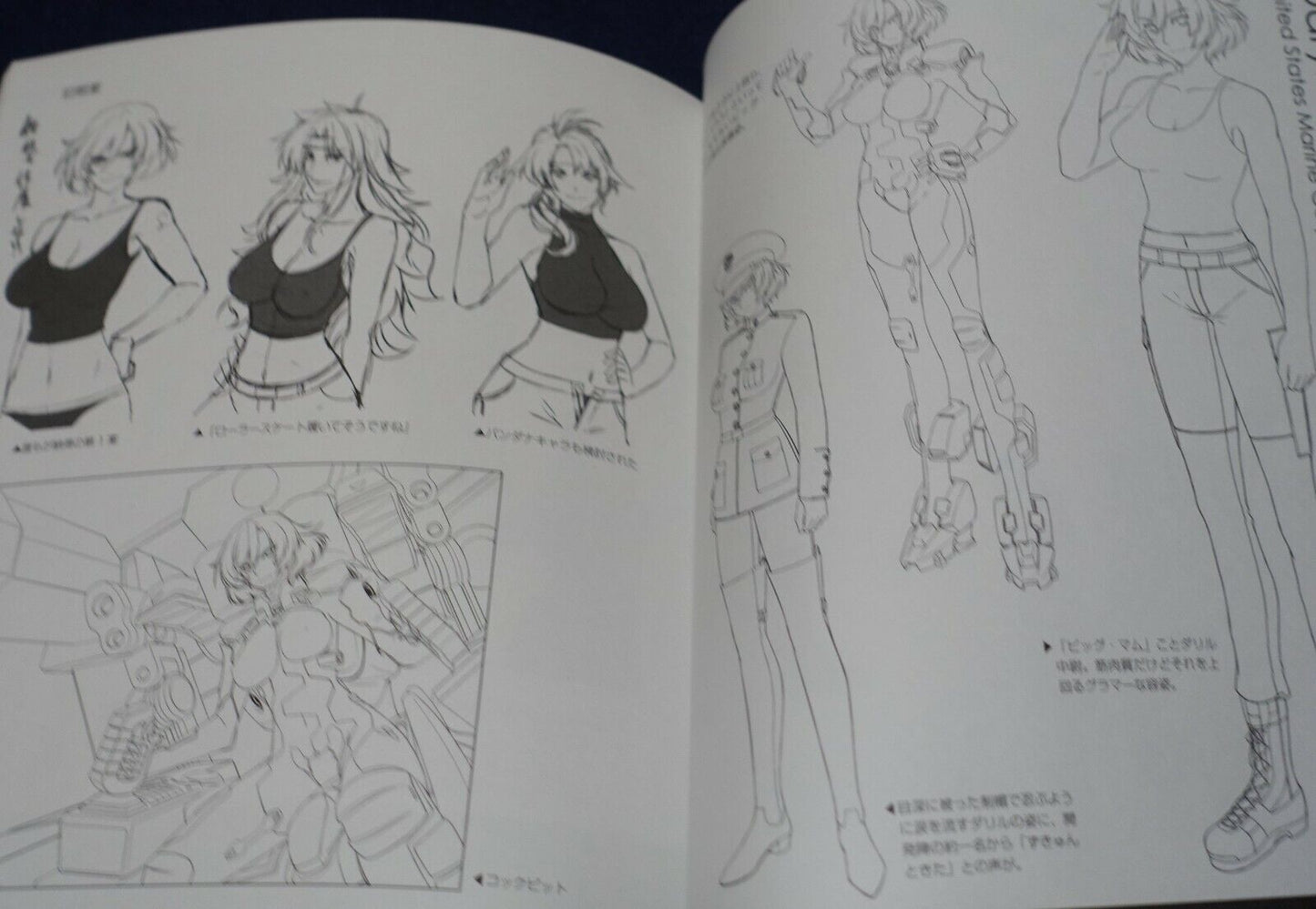 age MUV-LUV ALTERNATIVE Setting & Design Collection Book LD4 CHRONICLES 