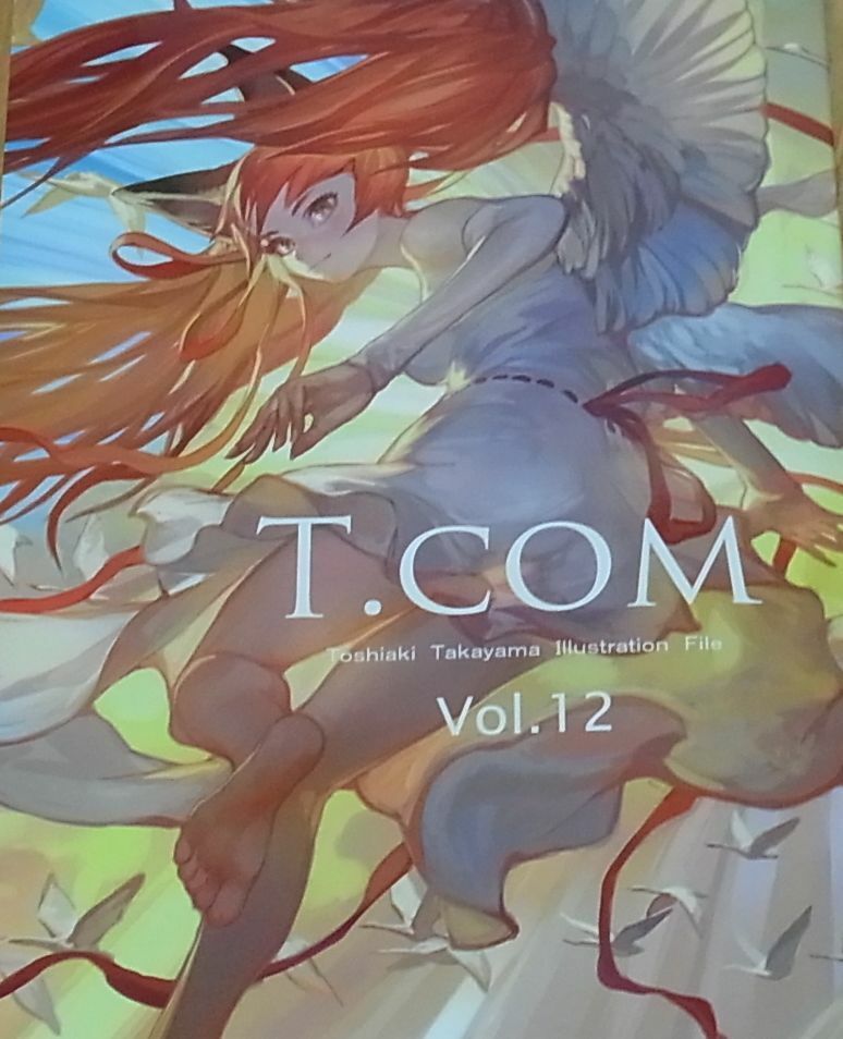 Toshiaki Takayama Color Art Book T.COM vol.12 C91 