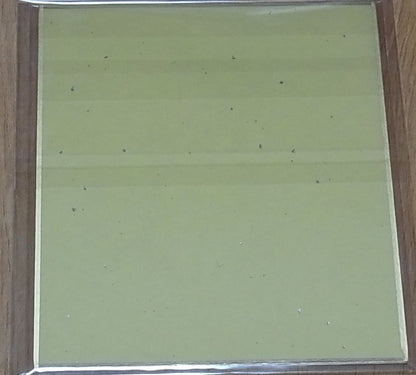 Puella Magi Madoka Magica Side Story Magia Record Print Shikishi Art Board 