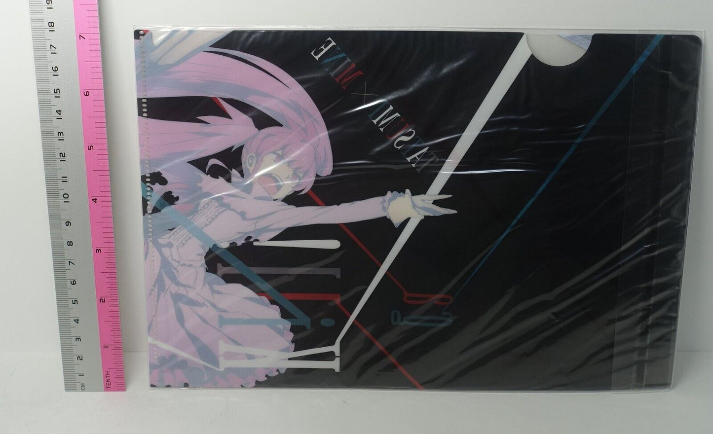 Akame ga Kill! Tatsumi & Mine PVC Art Sheet Clear File 