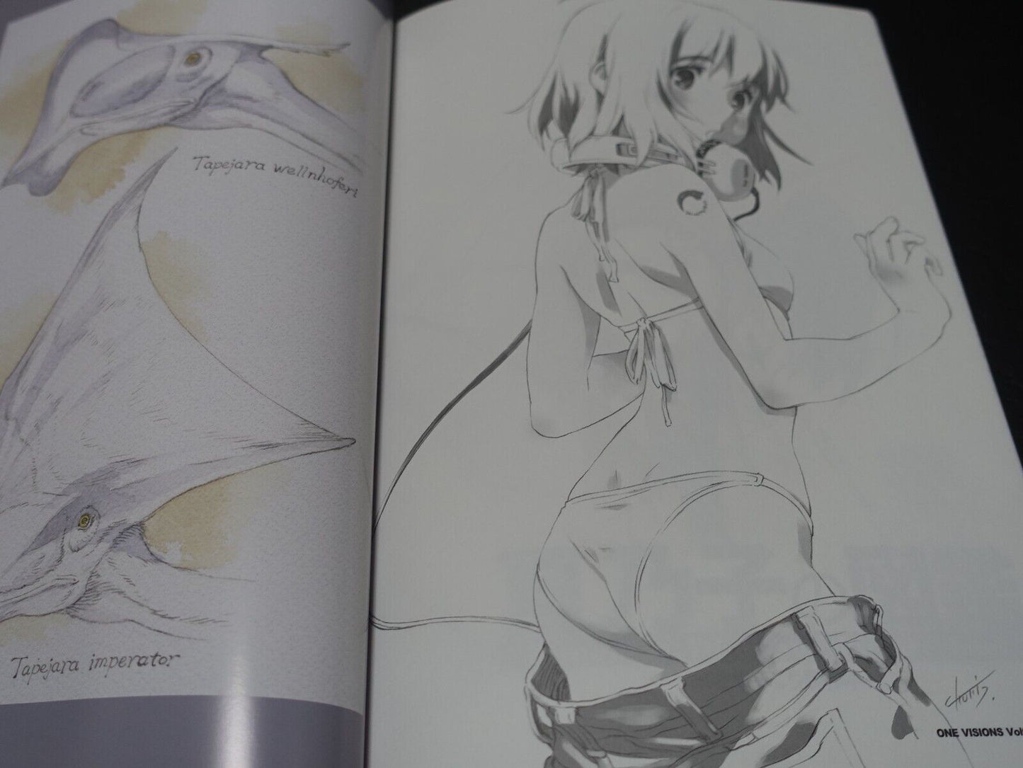 Kunihiko Tanaka Ruin Explorers Fam & Ihrie Designer Comic & Other Art Book 