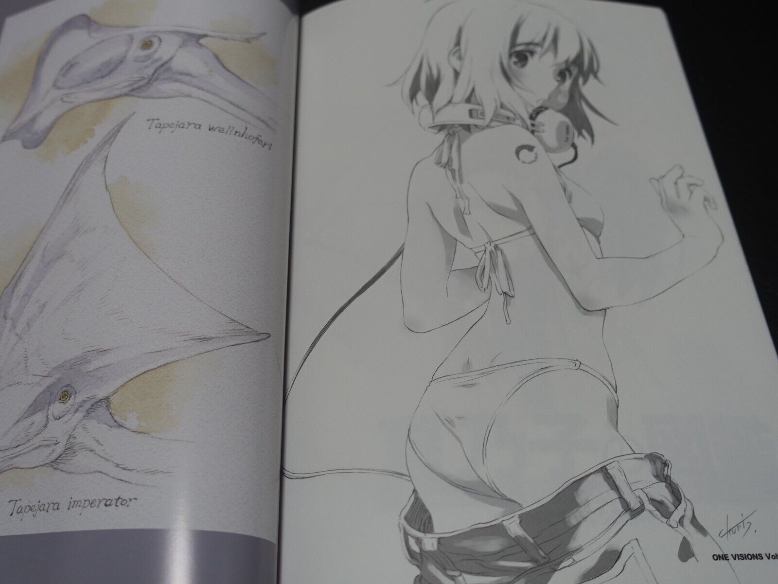 Kunihiko Tanaka Ruin Explorers Fam & Ihrie Designer Comic & Other Art Book 