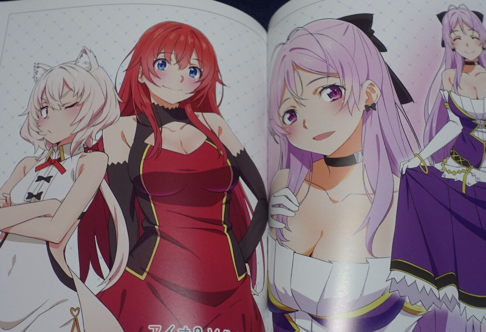 Now printing! ISEKAI TENSEI HEROINES FAN ART ILLUSTRATIONS BOOK C101 