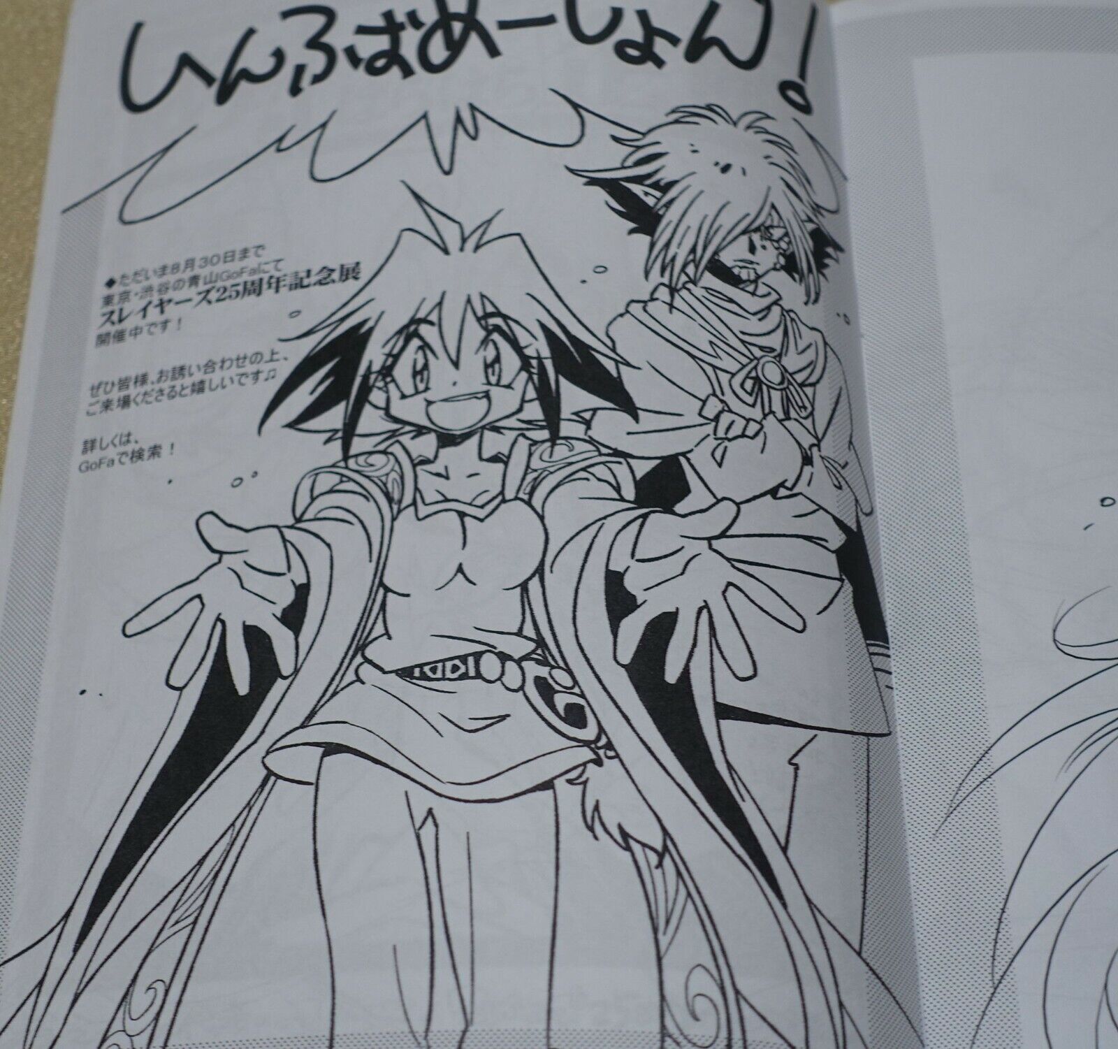 Rui Araizumi Slayers Character Designer's Hand Made Doujinshi Slayers etc 