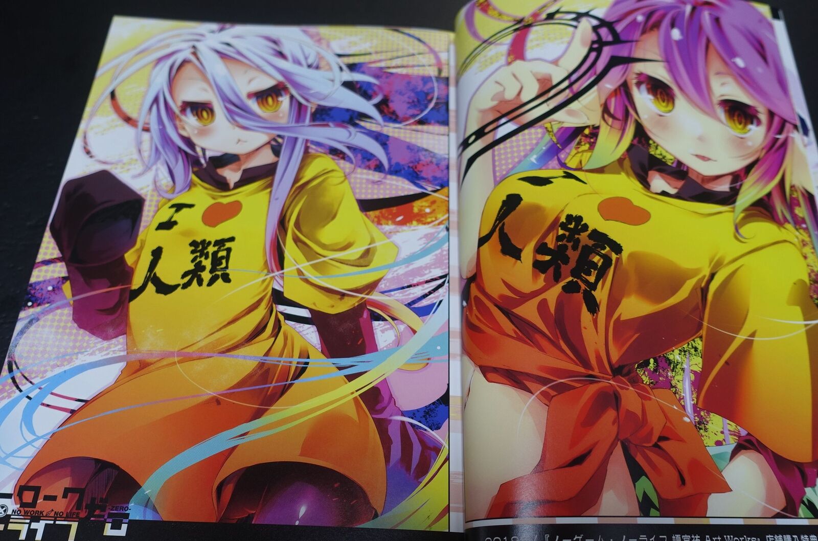 pixel phantom Yu Kamiya No Game No Life Author's Doujinshi Complete Book C100 
