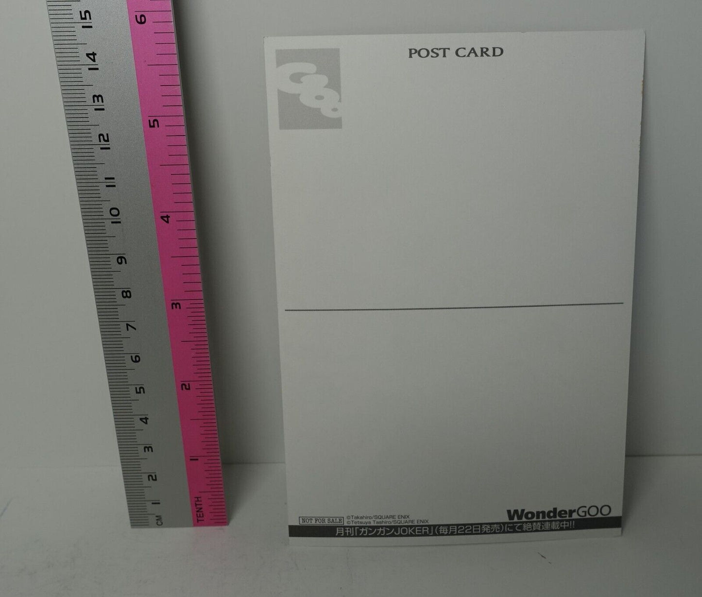 Akame ga Kill! e-Wondergoo Privilege Art Post Card Tatsumi A 