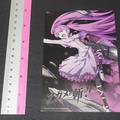 Tetsuya Tashiro Akame ga Kill! e-Wondergoo Privilege Art Post Card Mine 