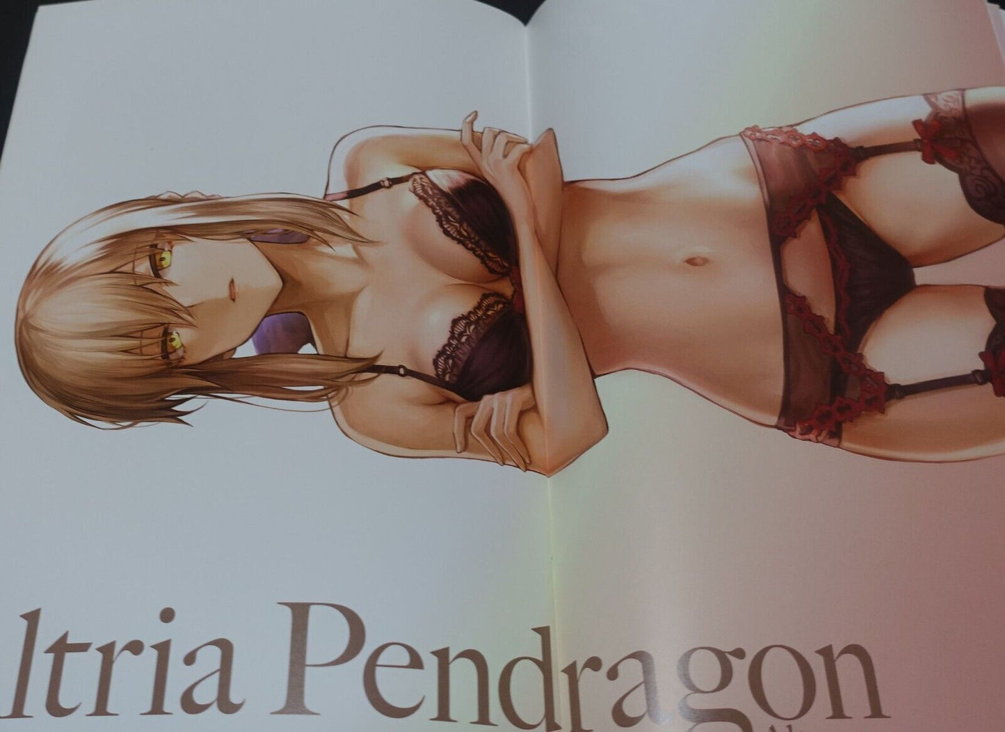 Neko no Oyashiro Fate Grand Order FGO Fan Art Book CHALDEA Lingerie Collection 
