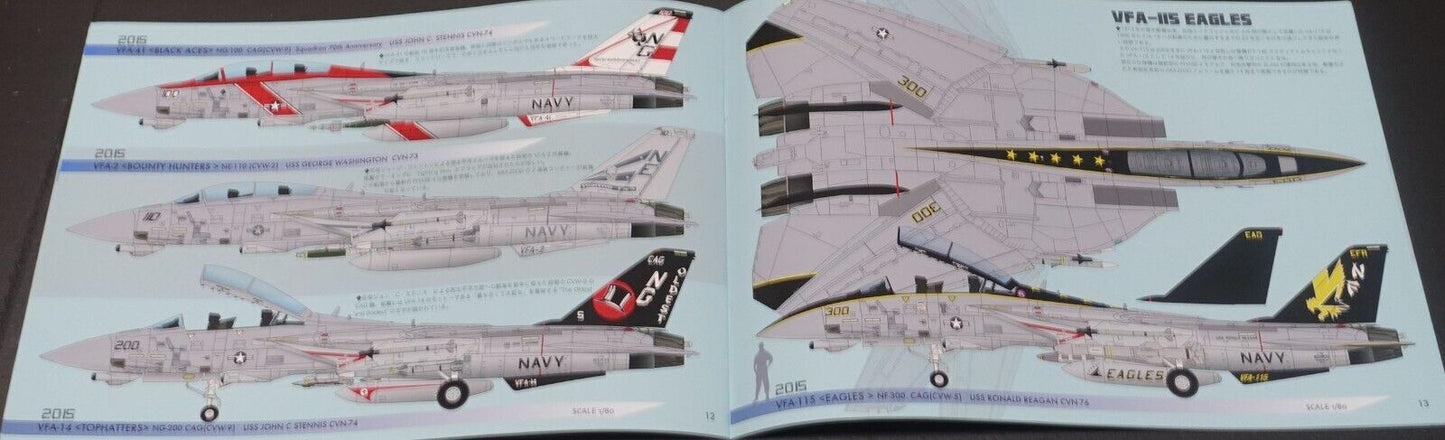Takeshi Oka Imaginary Fighter Aircraft Art Book F-14E Mighty Tomcat 1/80 Scale 
