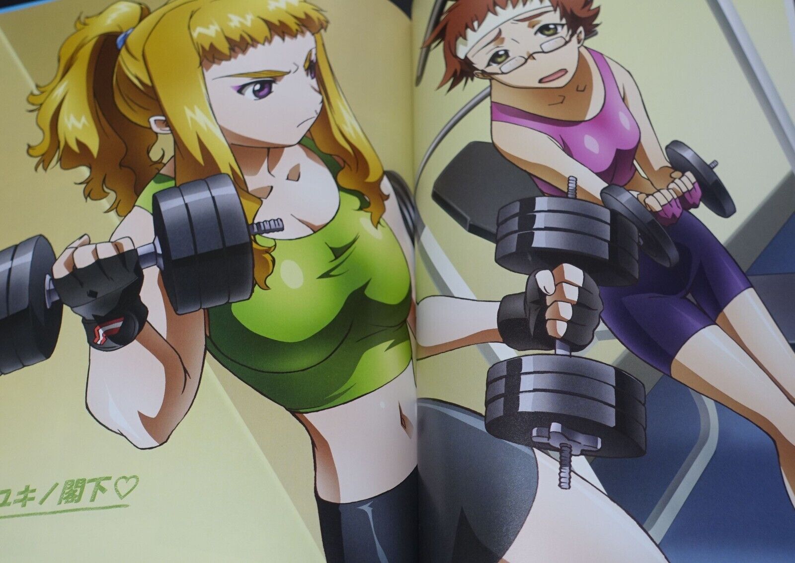 Mai-Otome Official Visual Art Book Garderobe Scoop Book Mai-Hime 