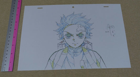 ufotable Kimetsu no Yaiba Demon Slayer Print Key Frame Art Sheet Tanjirou B 