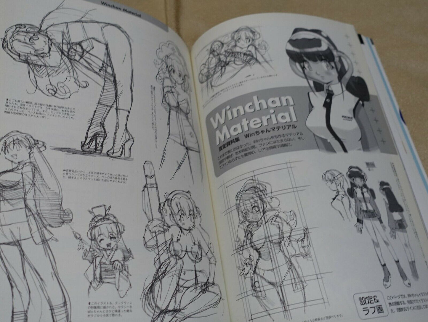 MINE YOSHIZAKI OS Idol Winchan Complete Fan Book SKY BLUE 