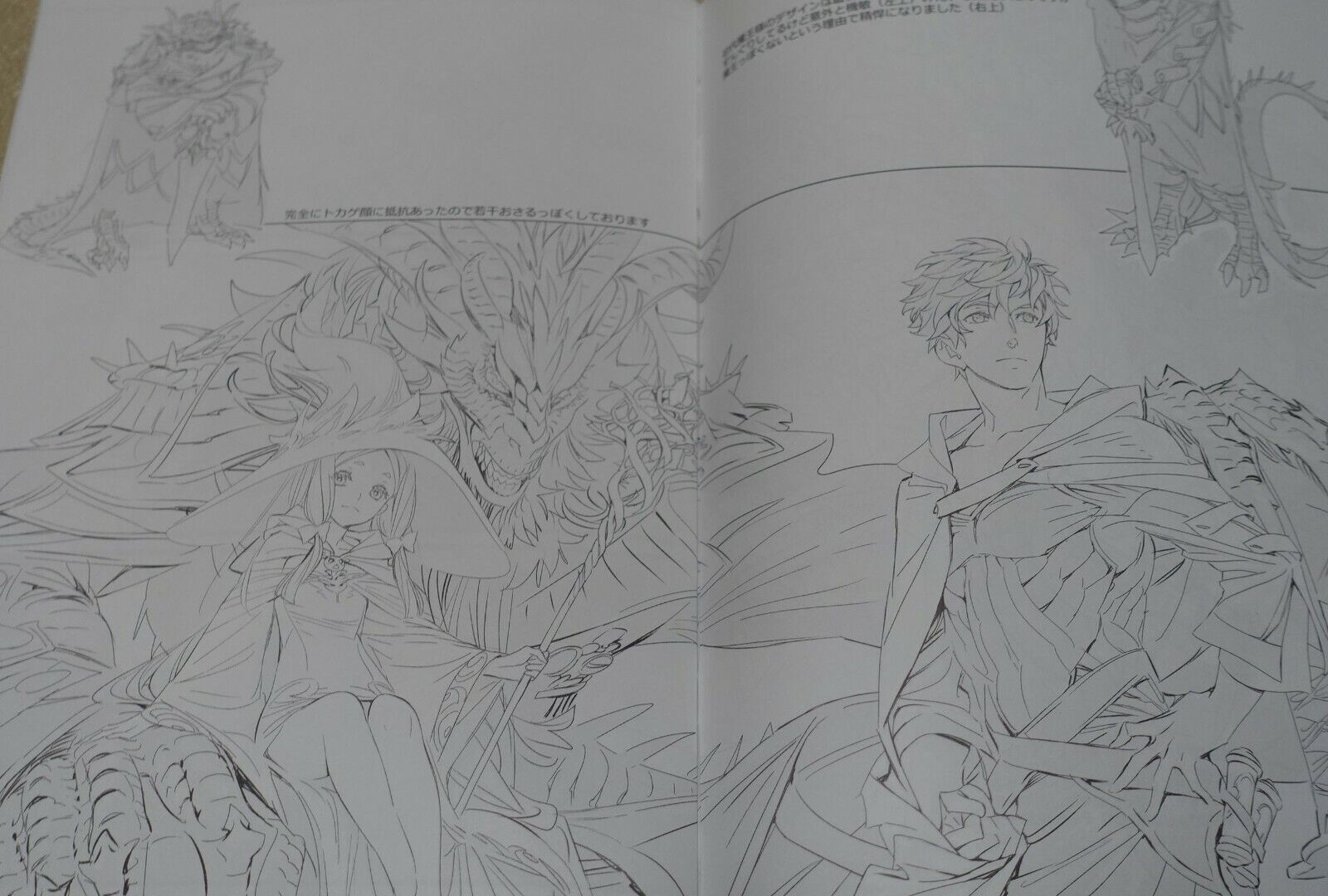 Nisieda Line Art Work Book vol.12 
