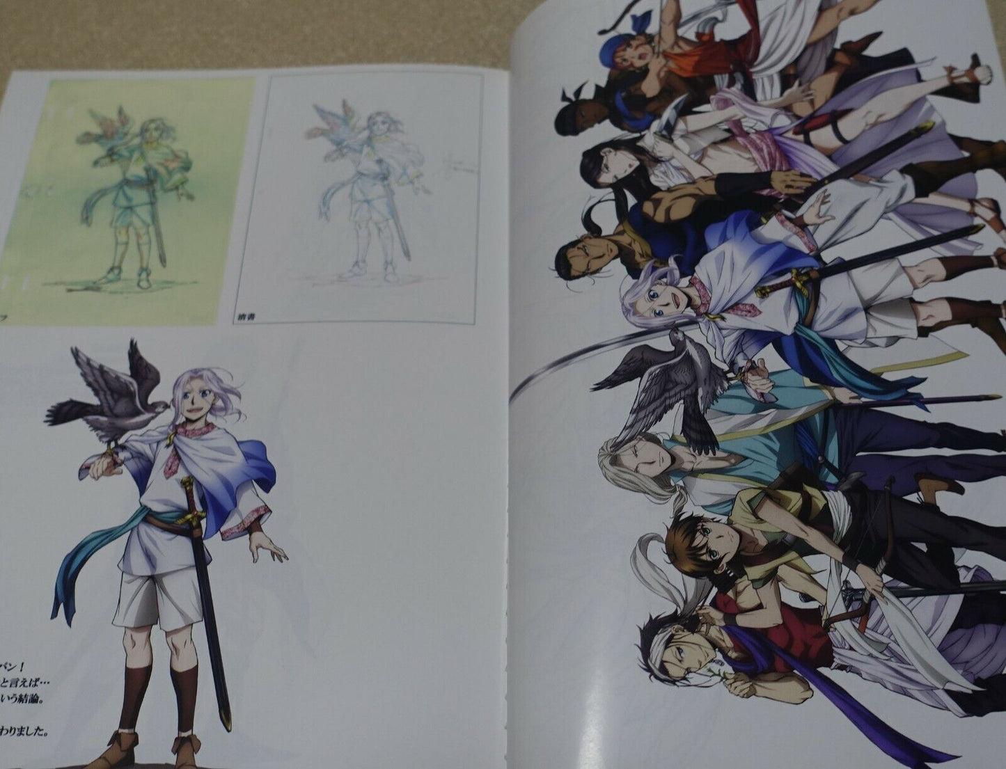 LIDENFILMS The Heroic Legend of Arslan Key Frame & Staff Art Book Set Yashasuiin 