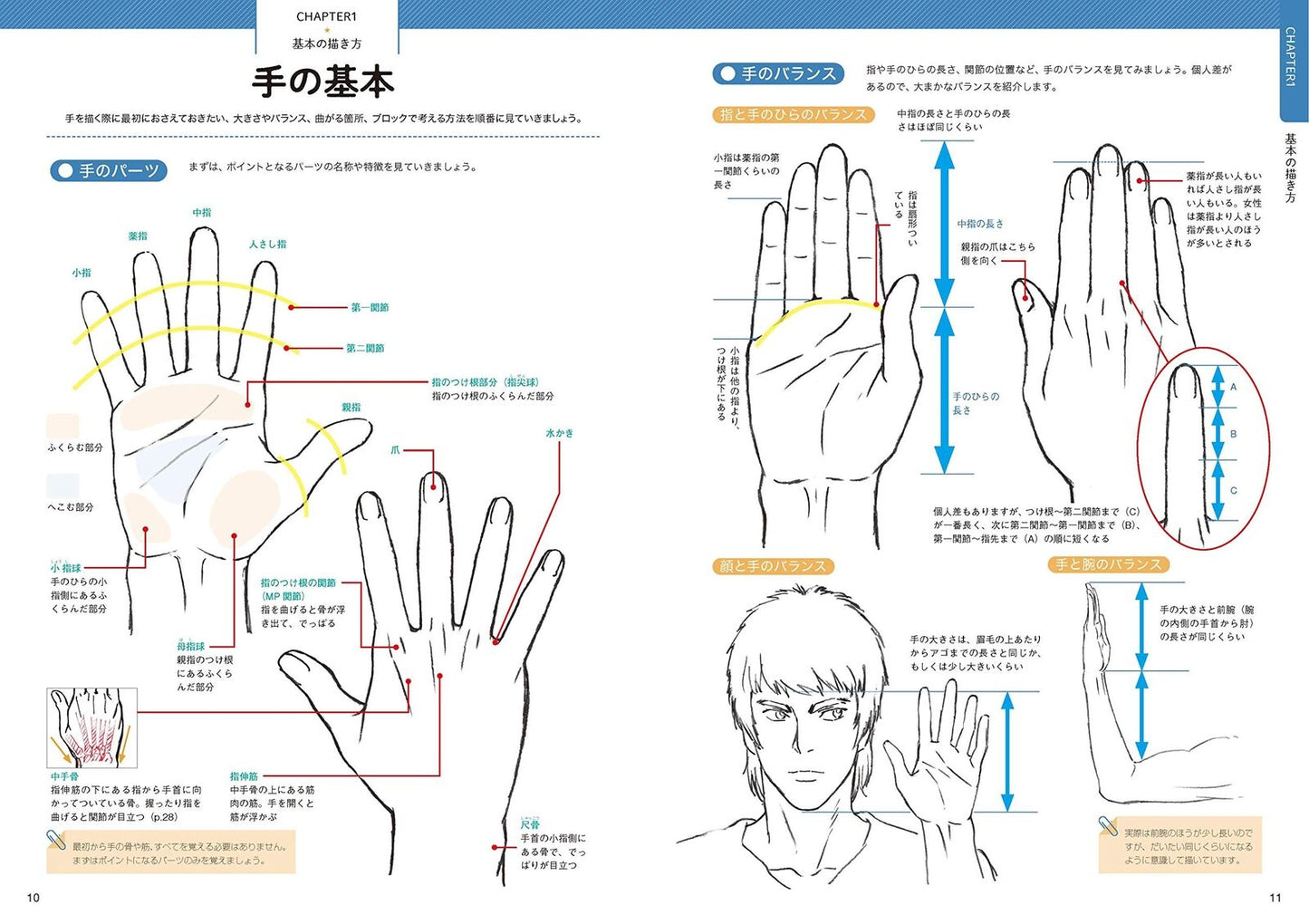 Takahiro Kagami teaches how to draw "hands" with all his might 
