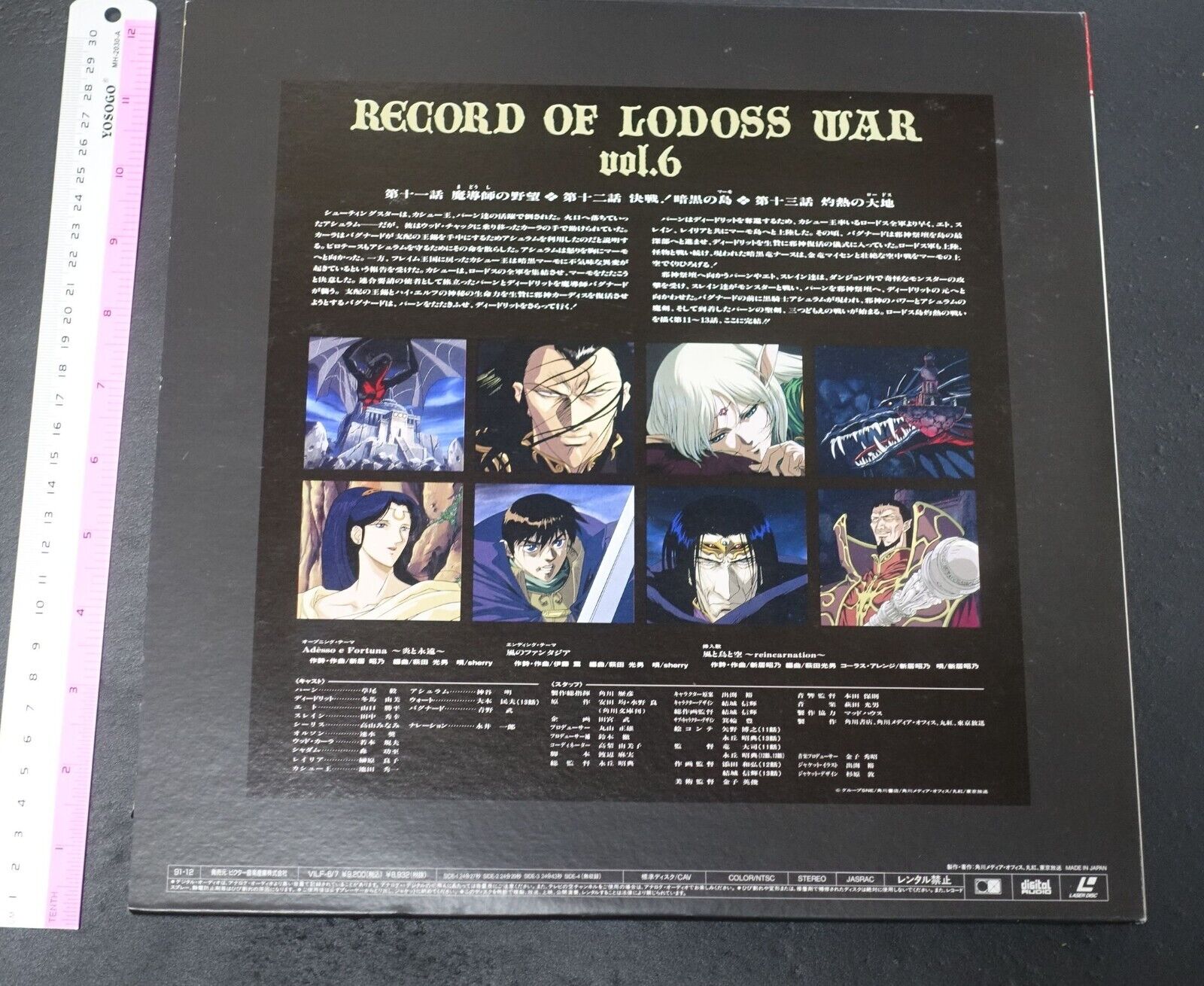 Record of Lodoss War LD Vol.6 Special Diedlit Design Art Board Case 