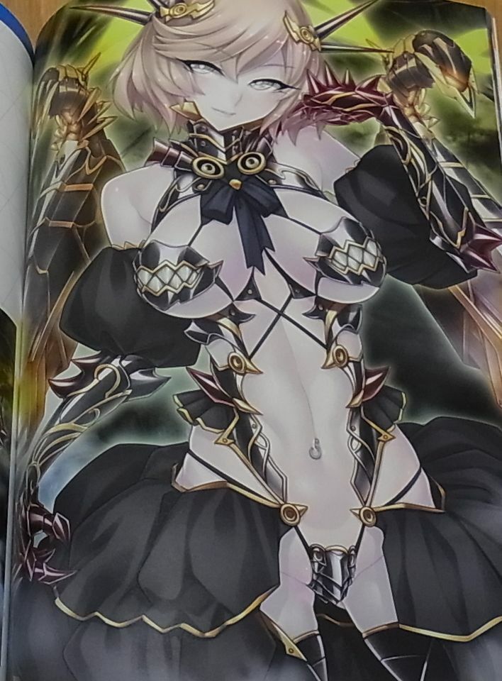 TAIMANIN ASAGI BATTLE ARENA CHARACTER VISUAL BOOK 4 NINJA GIRL 