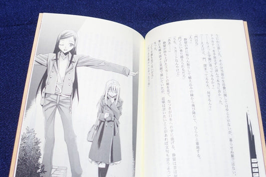 Waterfall Mai-Hime Natsuki & Shizuru Fan Novel Book I'll Cover You 