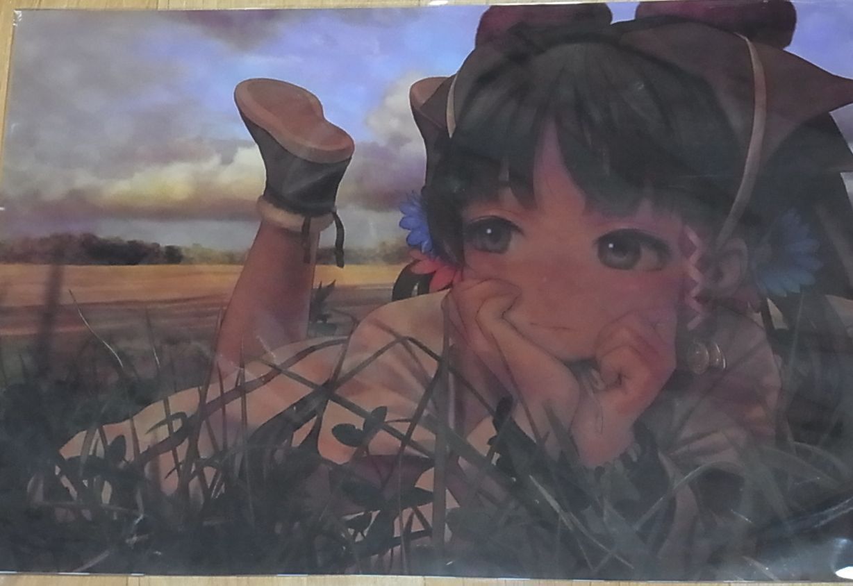 RANGE MURATA Color Art Clear File 2013 Summer 