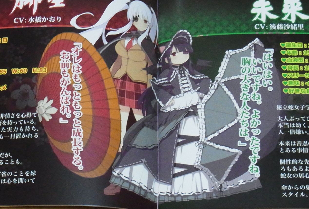 Senran Kagura Original Sound Track 4discs Set 113tracks & Visual Book 