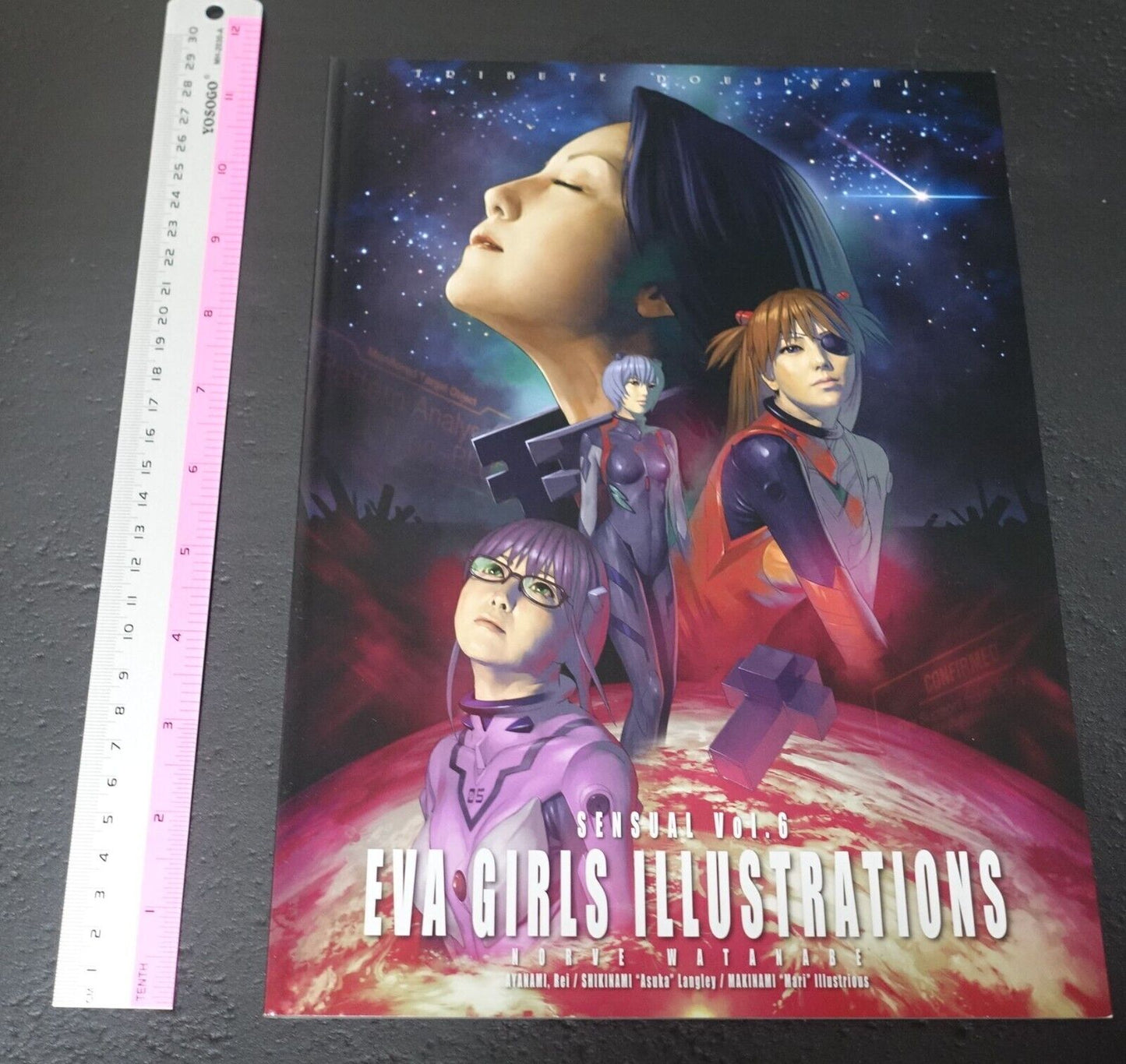 Castlism EVANGELION Fan Art Book EVA GIRLS ILLUSTRATIONS 1 