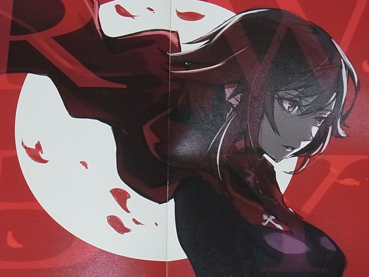 POKIZM Color Art Book KOKI ZM 8.5 Hero Academia V Tuber 