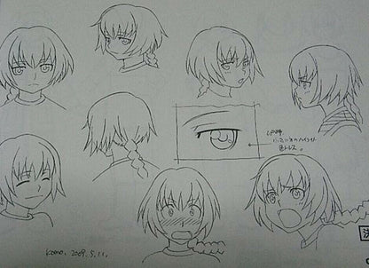 Darker than Black Ryusei no Gemini Setting Art Book Gemini of the Meteor 