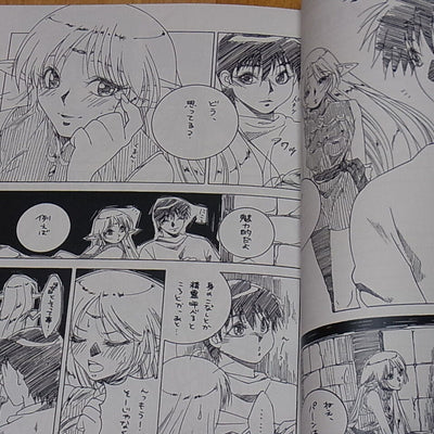 Lecord of Lodoss War Fan Doujinshi Anthology We Love Lodoss! 2 