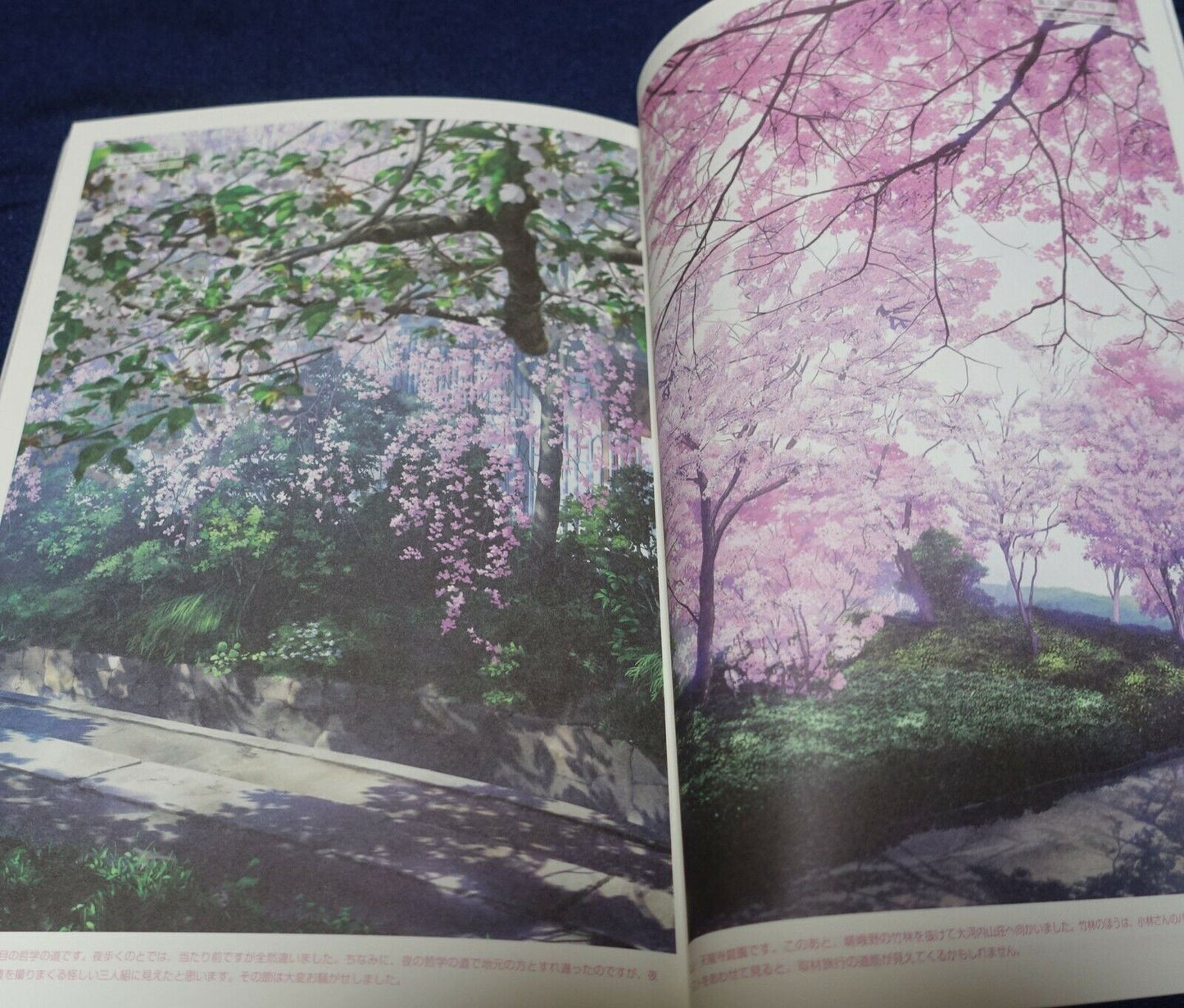 Takashi Takeuchi Take Ho-ki Illustration Art Book The BAMBOO BROOM 