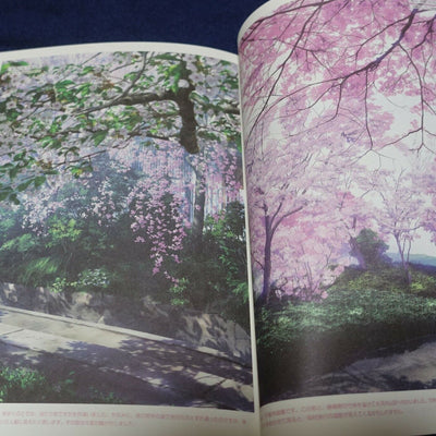 Takashi Takeuchi Take Ho-ki Illustration Art Book The BAMBOO BROOM 