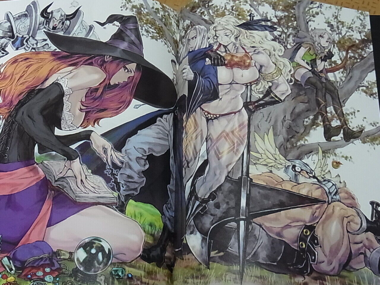Dragon's Crown Color Art Book Art Works 62page 