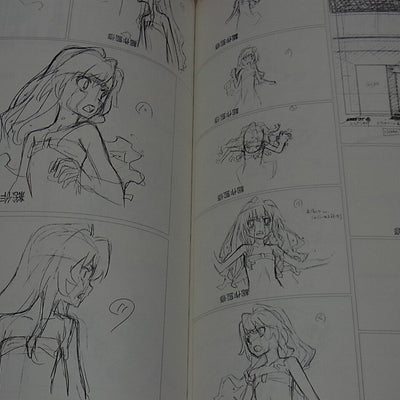 Toradora! Animation Staff Doujinshi Book Setting & Key Frame Art & Illustration 