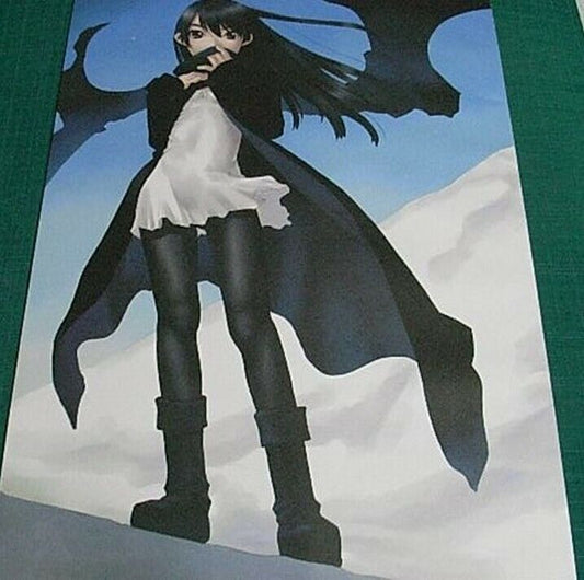 UGETSU HAKUA COLOR ART BOOK SIGNALL SIGNALESS 