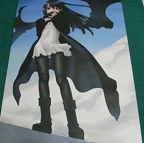 UGETSU HAKUA COLOR ART BOOK SIGNALL SIGNALESS 