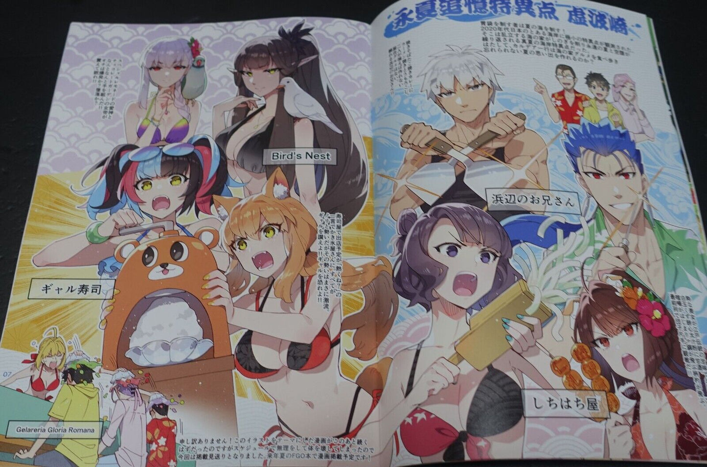 ReDrop Fate Grand Order Color Fan Art Book FGO Illustrations 8 C100 