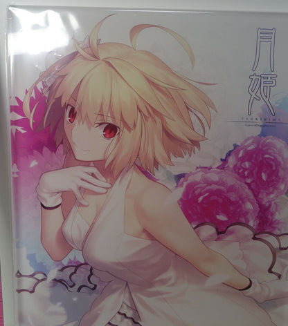 Tsukihime A piece of blue glass moon Arcueid Brunestud 21 x 29 cm Acrylic Panel 