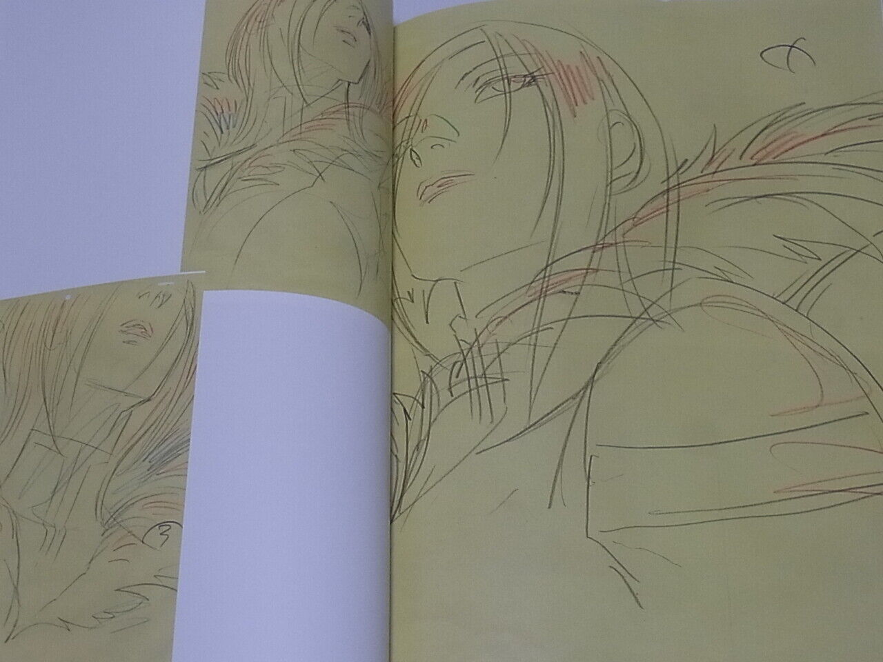 JUNICHI HAYAMA COLLECTION OF ANIMATIONS X-MEN BLADE & SOUL Casshern Sins C95 