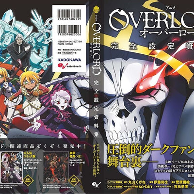 Anime Overlord Complete Setting Art Work Book 