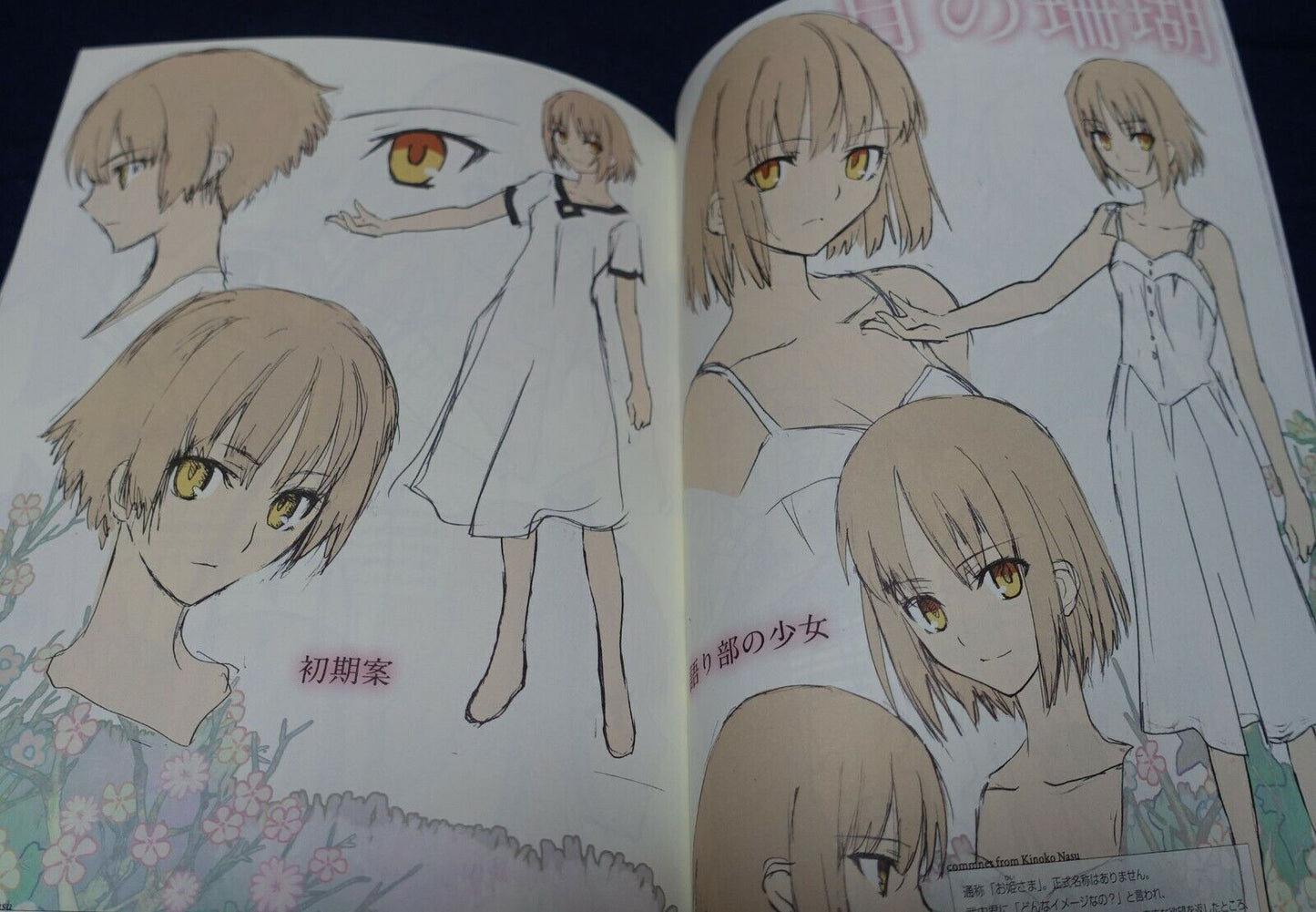 Takashi Takeuchi Take Ho-ki Illustration Art Book The BAMBOO BROOM 