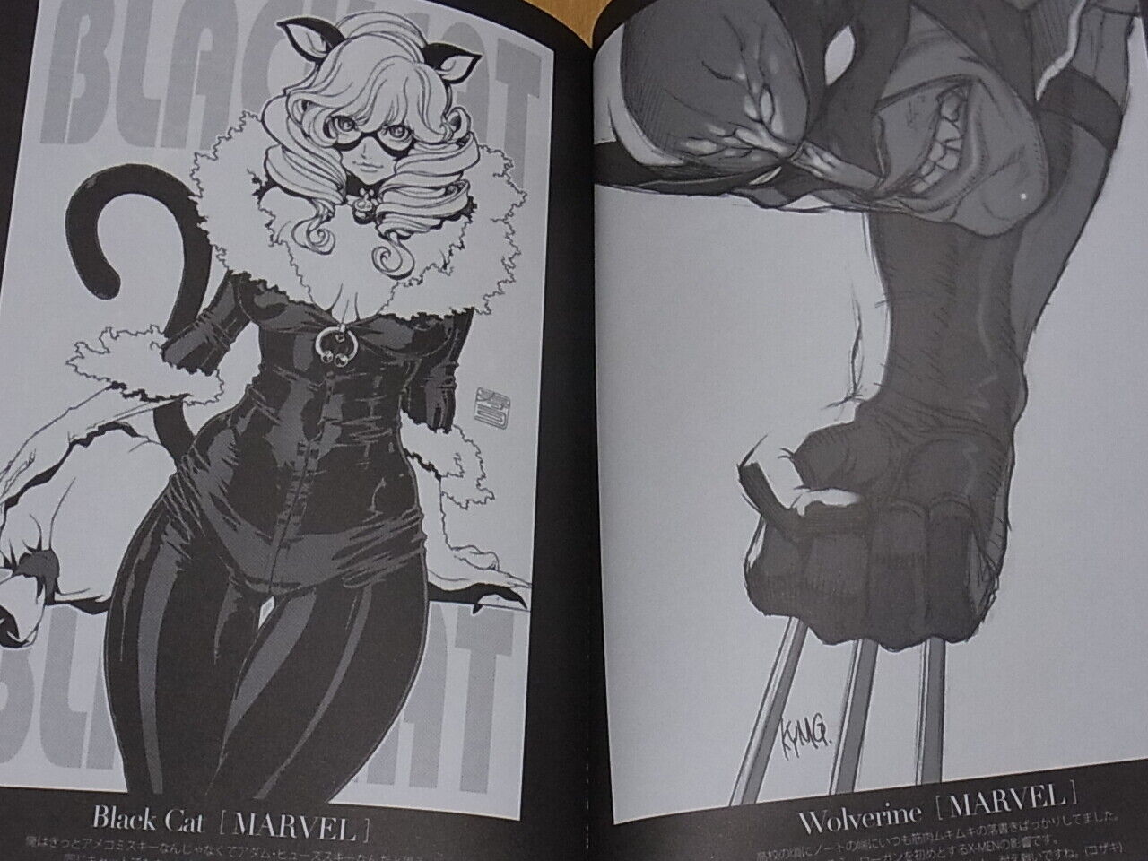 Bokusatsu.com Imaishi etc American Comic Hero Fan Art Book Super hero 2 