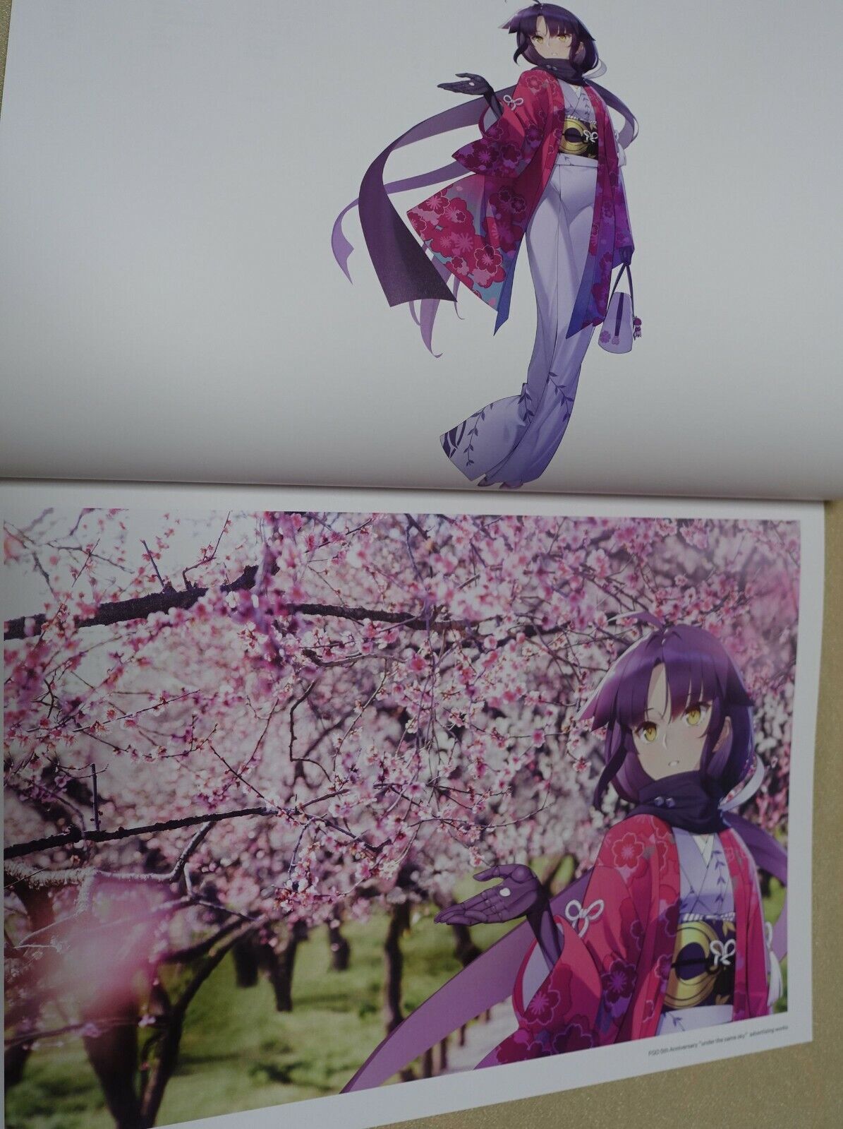 Type-Moon Fate Grand Order FGO MEMORIAL ART BOOK 5th Aniv under the same sky 