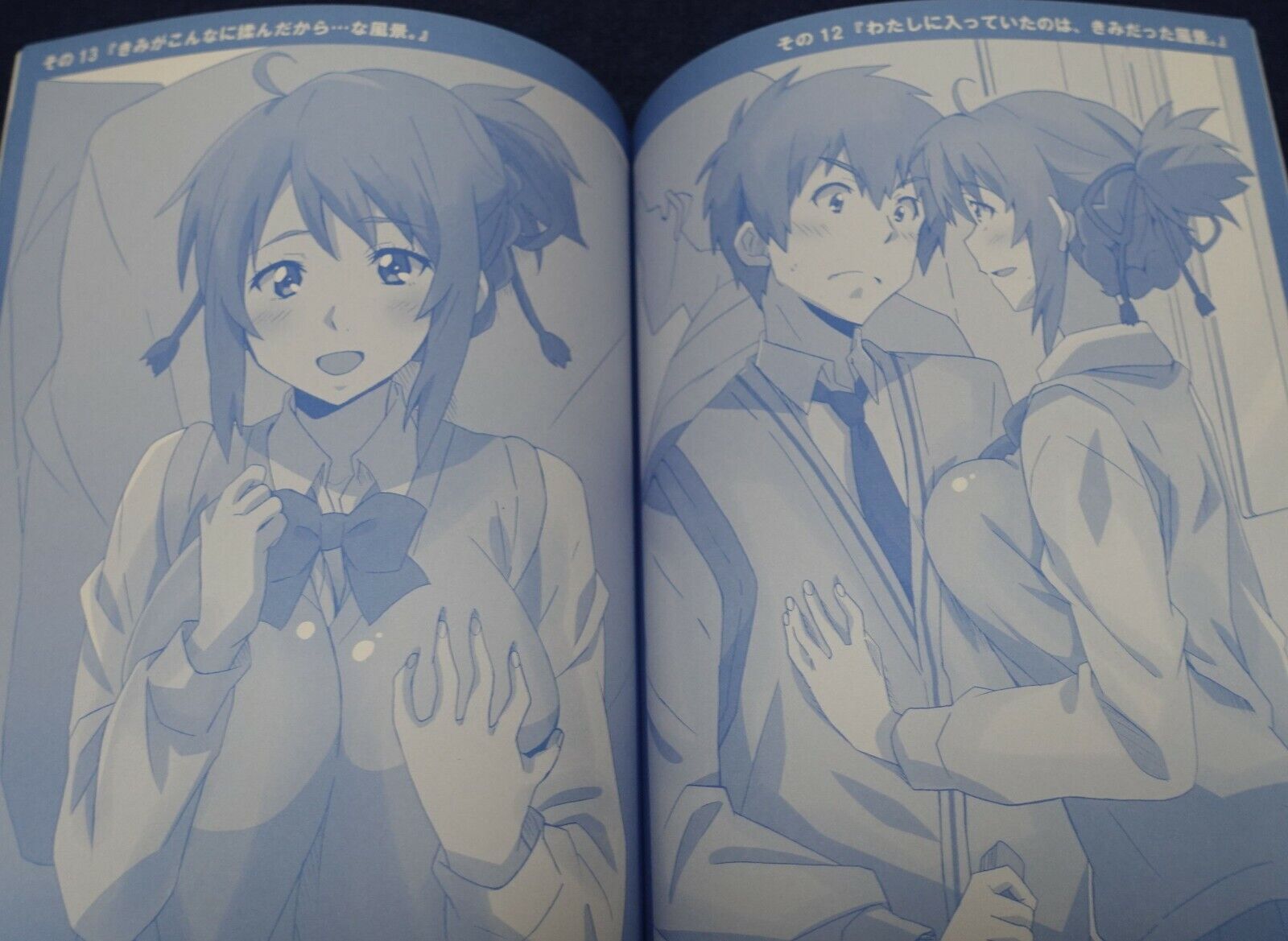 PONPON Your Name Fan Art Book Your name tawawa 